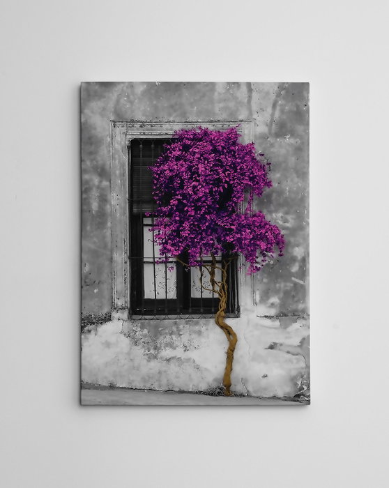 Wallity WY239 Lienzo Decorativo Multicolor 50 x 70 cm